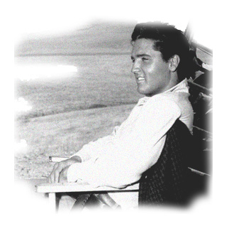 Logo Frank Oliver Schulz